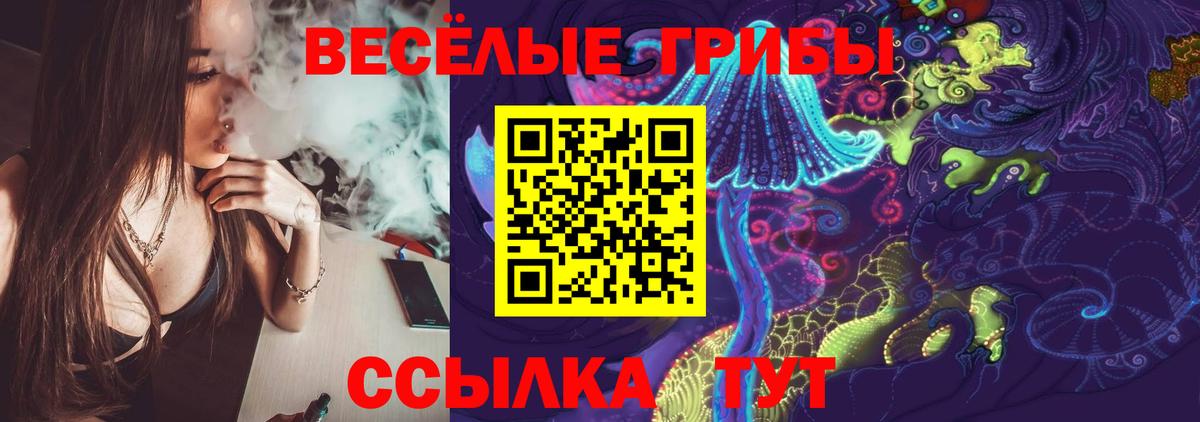 Псилоцибиновые грибы мицелий Луга